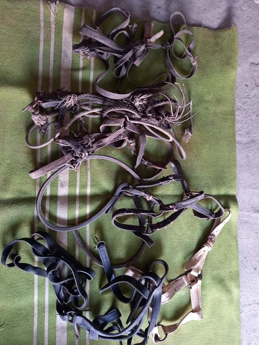 Конские сбруий-  Недоуздки