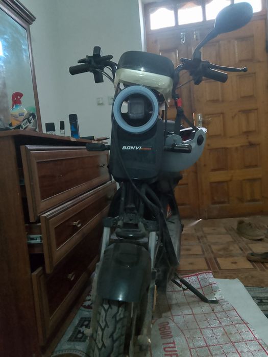 Sukutr Sotiladi Arzon Narxda