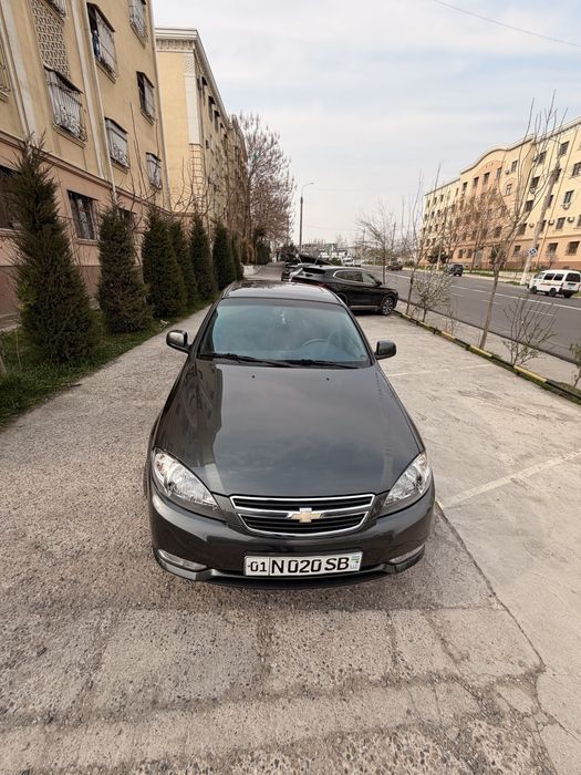 Жентра 2024 ранги мокрий !