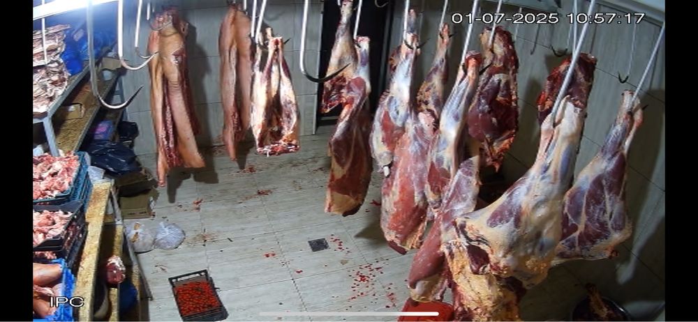 Принимаем мясо говядины конины баранины