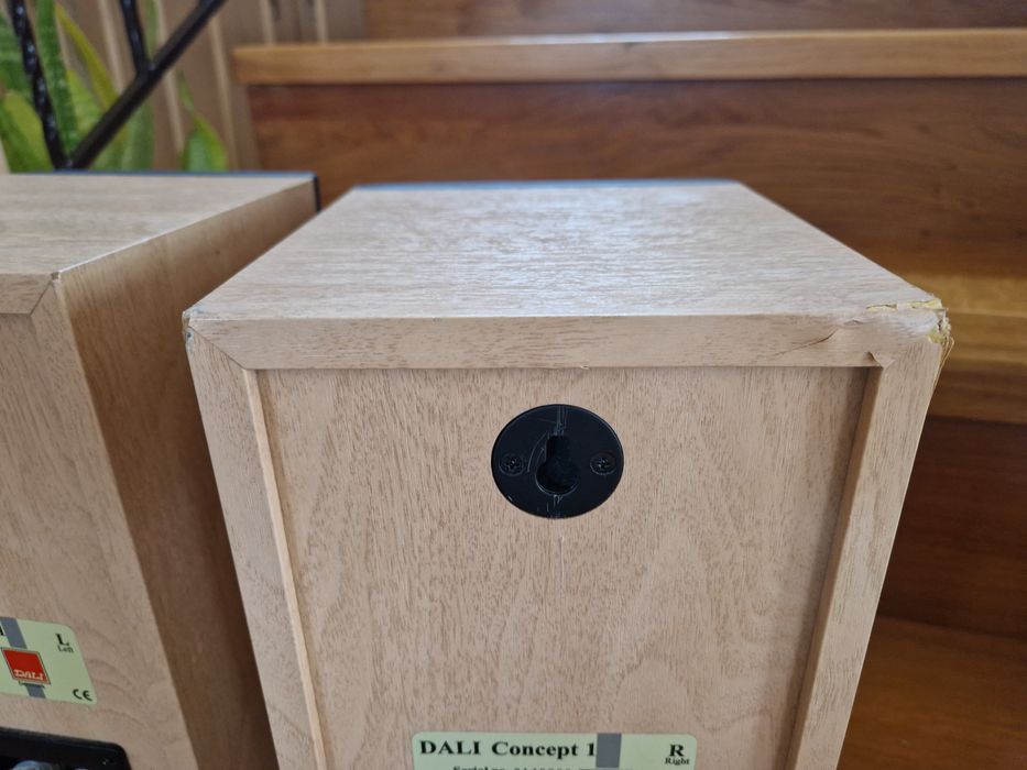 Dali Concept 1 - boxe hi-fi