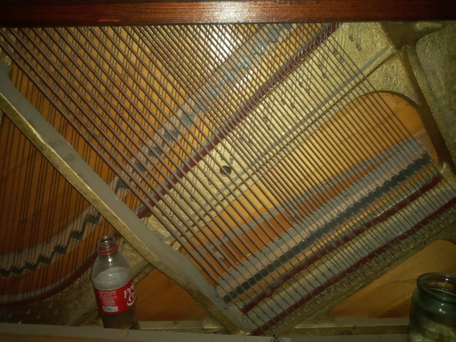 Пиянина Ласточка