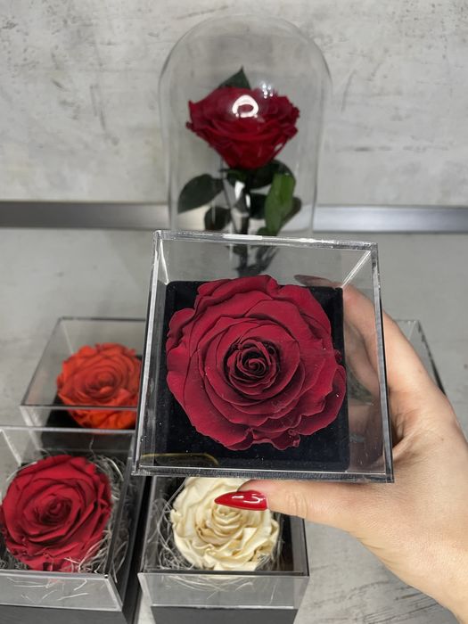 Вечна роза в кутия