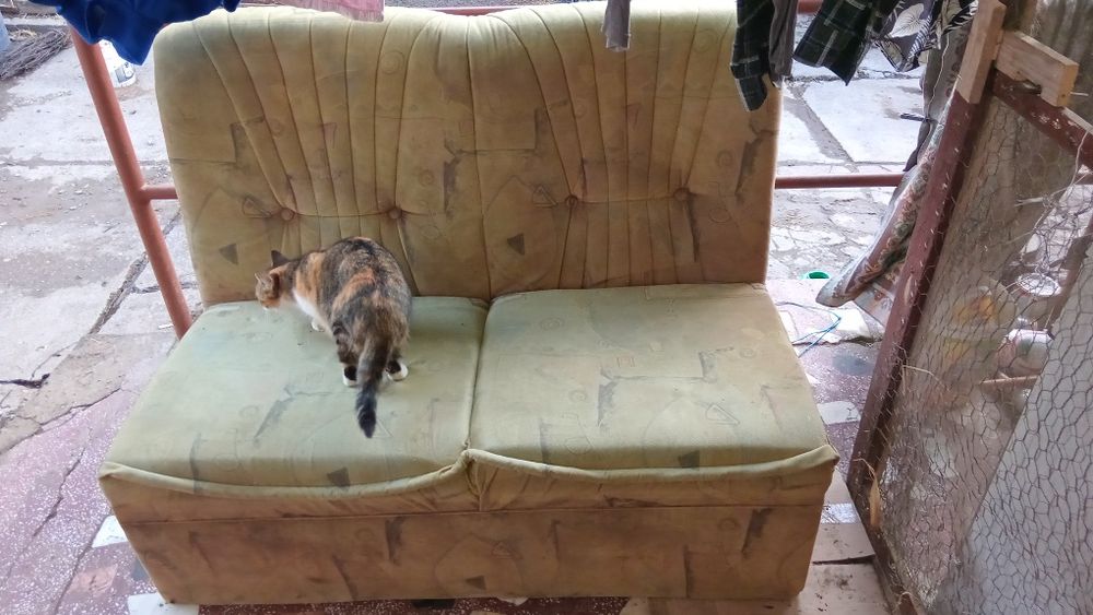 Schimb pe capre de banat sau sanel