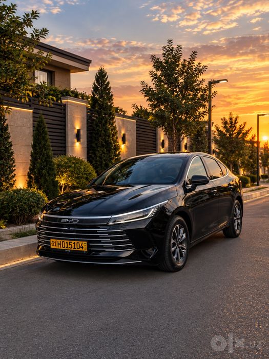 Byd chazor 2026 55 tali