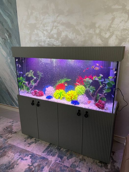 Akvarium zakas asosida tayyorlab beramiza