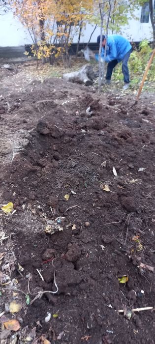 Черназем продам высший сорт