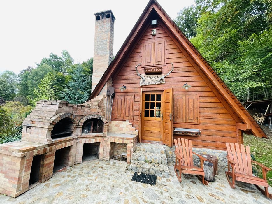 Vand structura cabana lemn