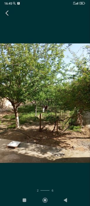 Уй сотилади янгиарик