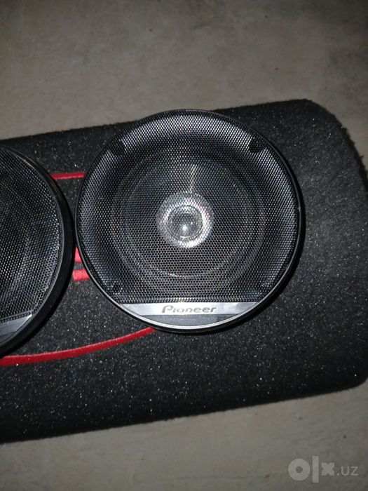 Pioneer kalonka 10 sm lik