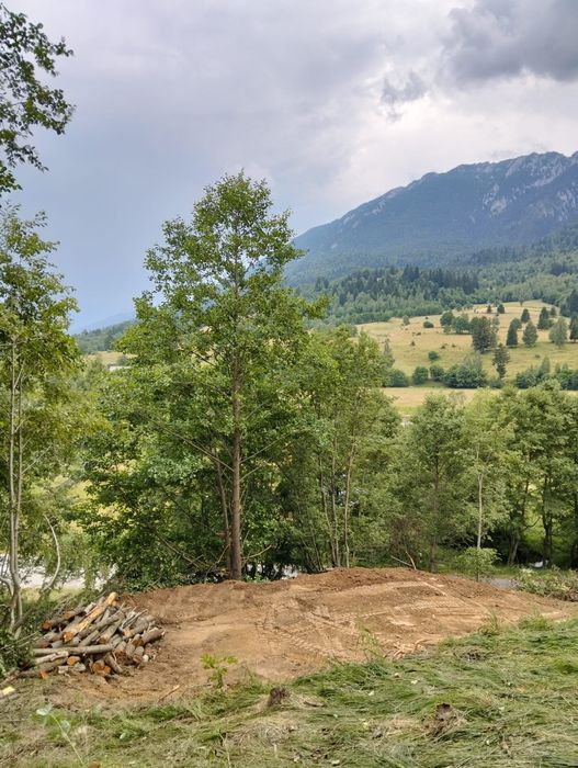 Vând teren intravilan in Plaiul Foii - Zărnești