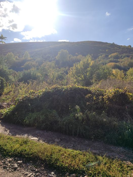 Продам дачу с/о Ульбинка