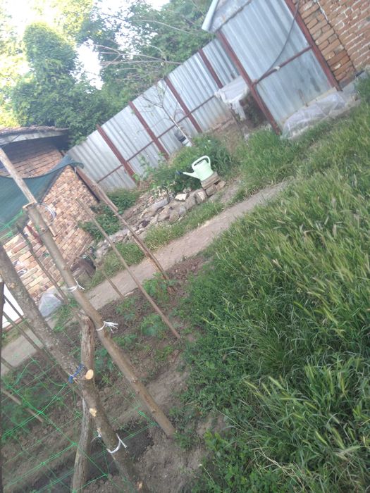 Намира се в Телиш близо не далеч ЖП гар.основна ул.