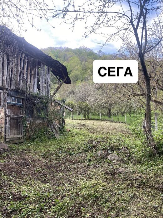 Косене и поддръжка на имоти