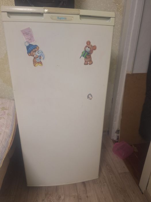 Холодильник Бирюса