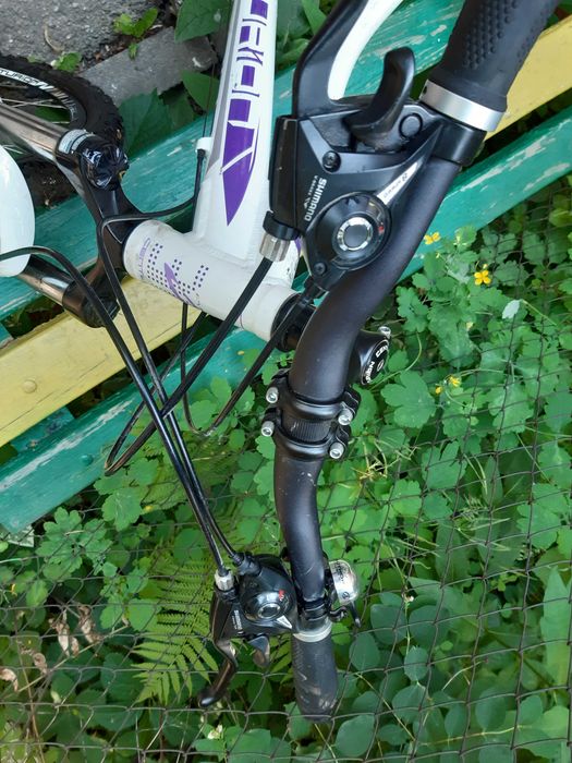 Велосипед Centurion Eve 4