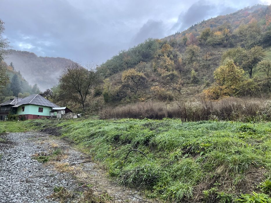 Casa si teren Poiana Ilvei BN