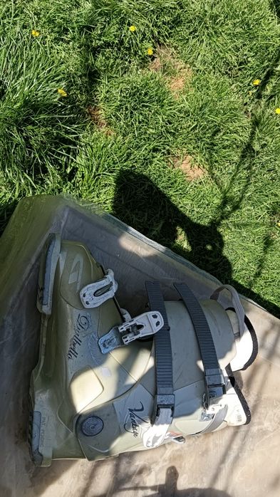 Clapari din Germania Nr 41