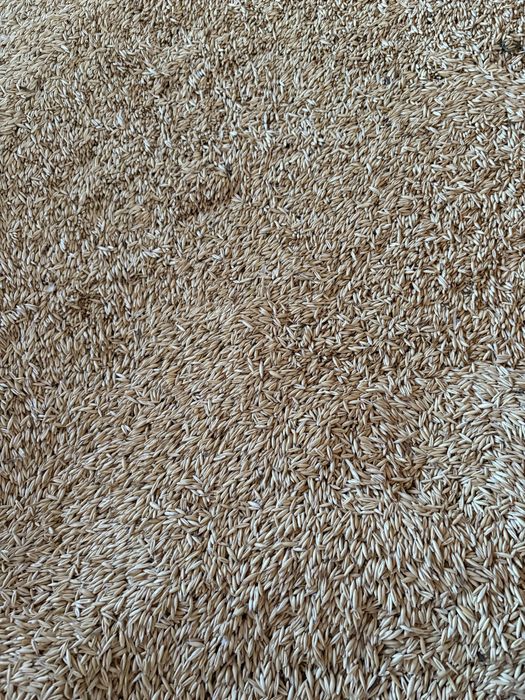 Vand ovaz curat de samanta !!!