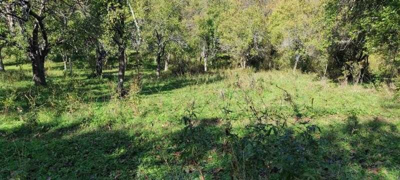 Продават се 3 земеделски имота (поземлени)