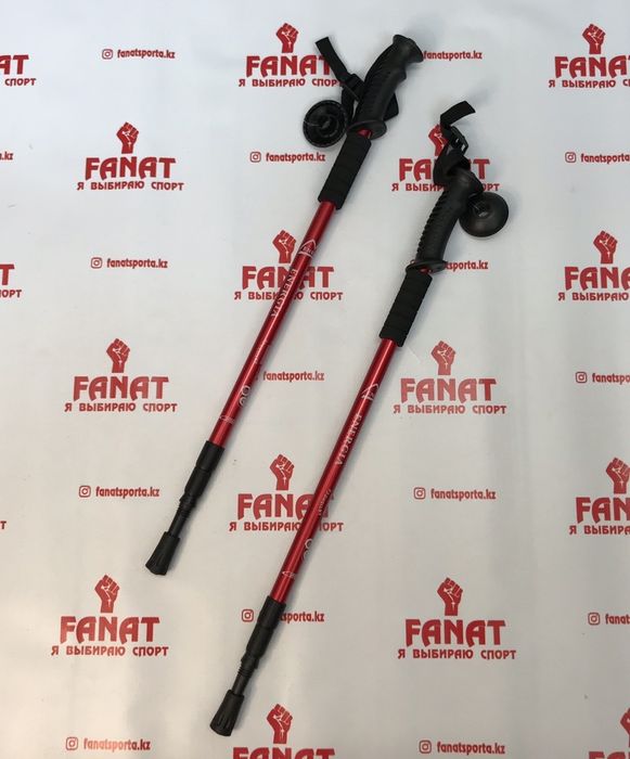 Палки для скандинавской ходьбы