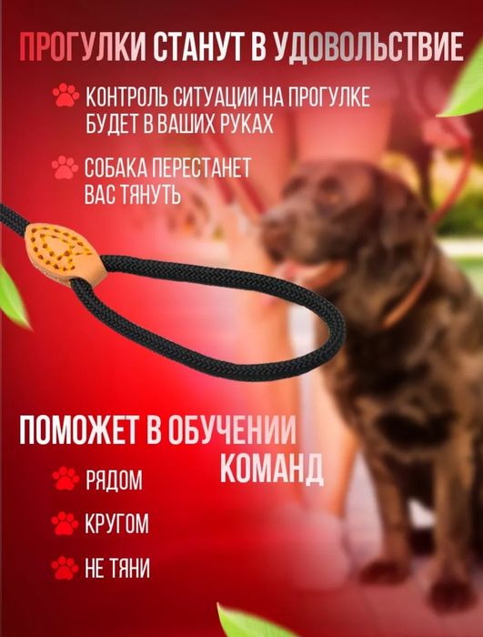 Поводок ошейник контроллер ринговка