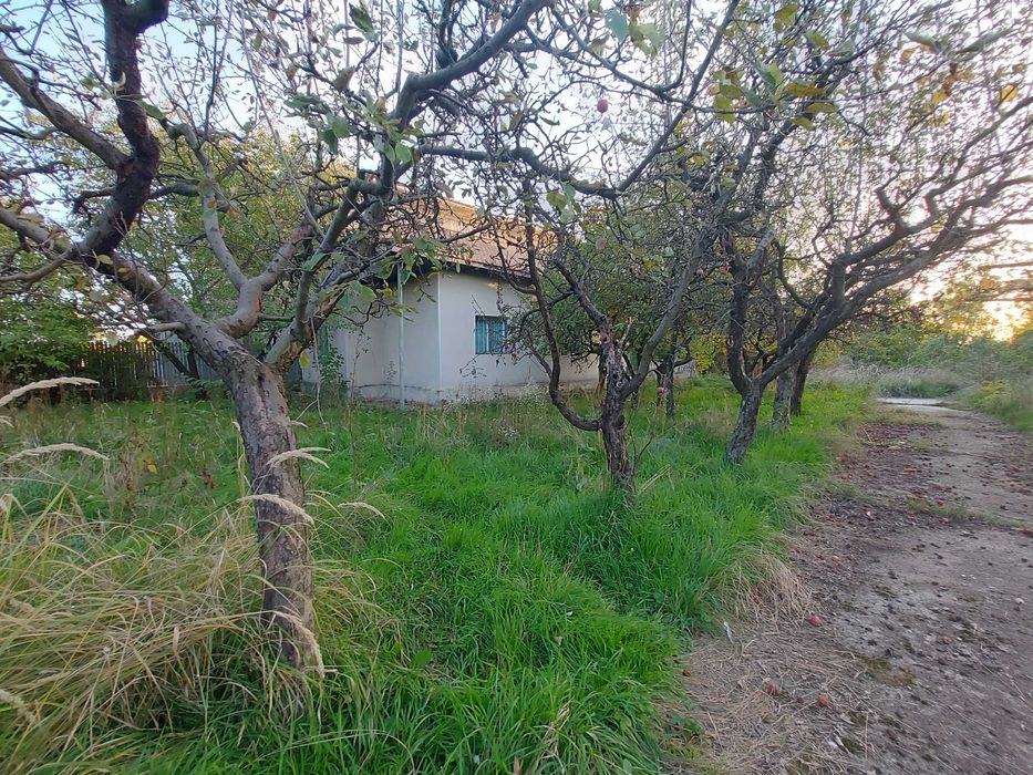 Teren intravilan si casa la tara