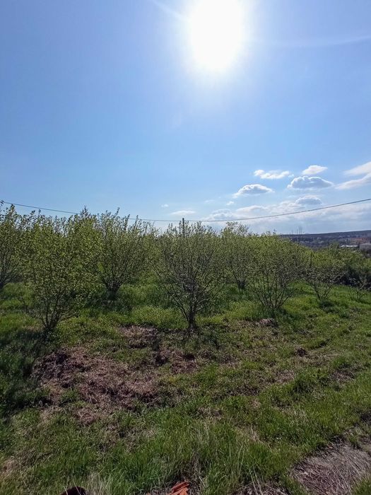 Продава се Къща в с. Минерални бани, Област Хасково - 55 кв.м за 751 €/кв.м - Снимка #10