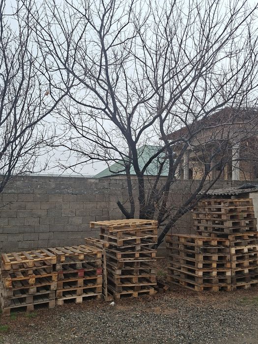 Падон в харошем состояние