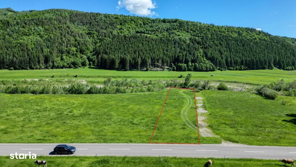 Teren intravilan 1269 mp cu priveliste la 12 km de zona Bran-Moeciu.