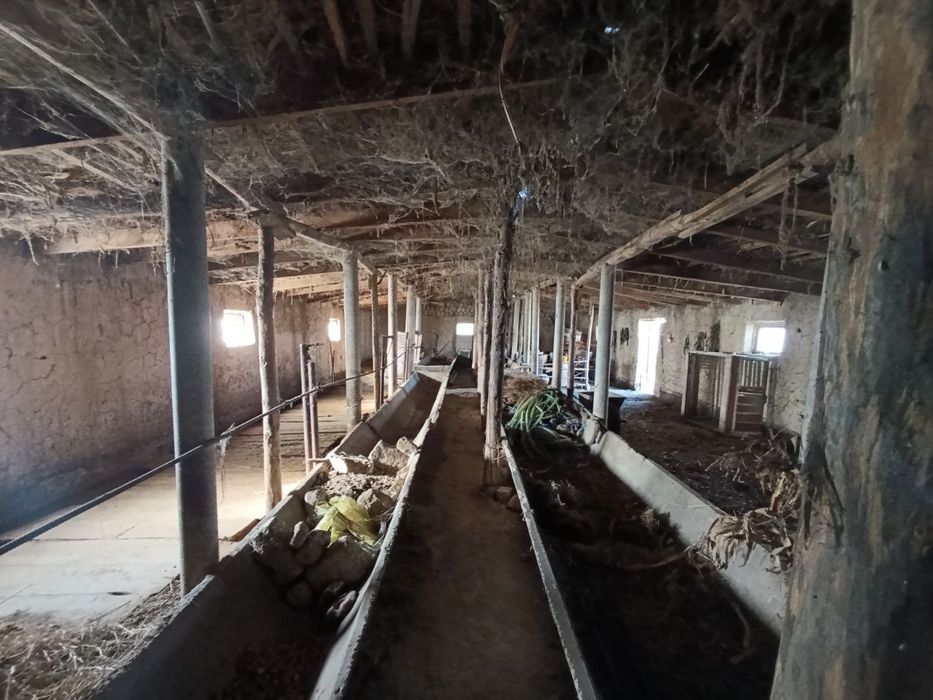 Molxona sotiladi - Sirdaryo viloyati Sayxunobod tumani