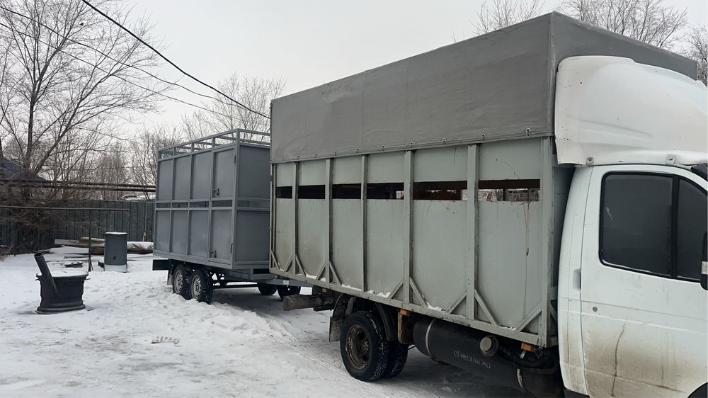 Скотовоз с прицепом