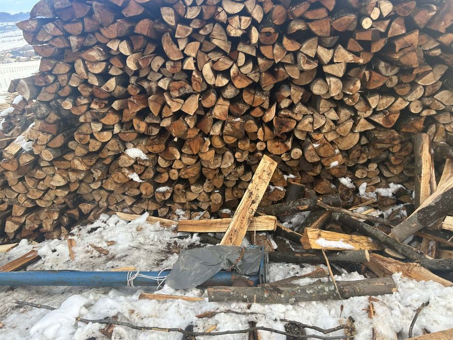 Vand lemne de foc fag