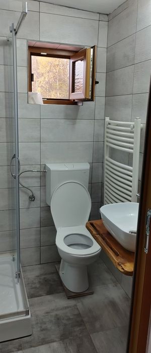 Casa de vacanta, cabana VÂNĂTORI - satul de vacanță POIC