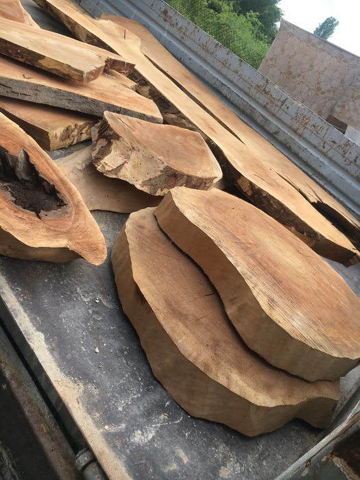 Шайби и янове от Орех