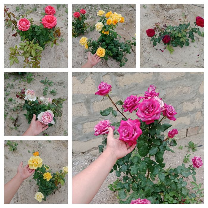 Срочна 2 бөлмелі жер үй