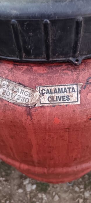 Бидони от маслини