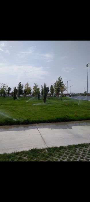 Gazon rulon landshaft