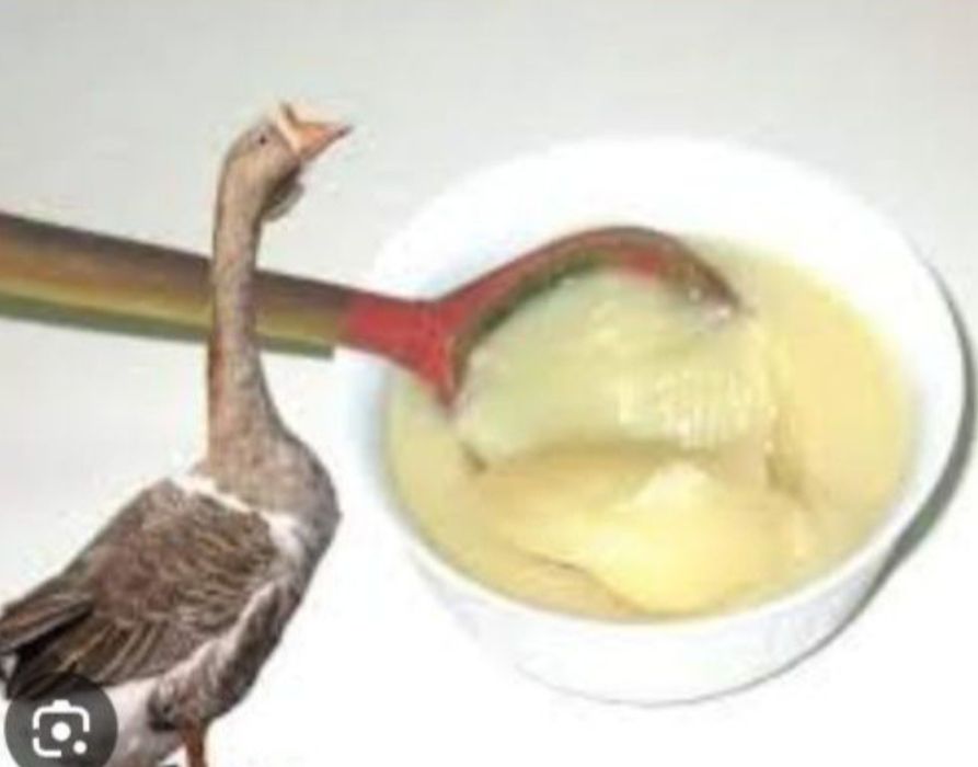 Гуси масла (свежие тоза Тоза) Гоз ёг'и