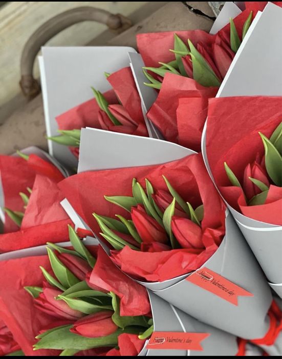 Тюльпаны оптом и в розницу