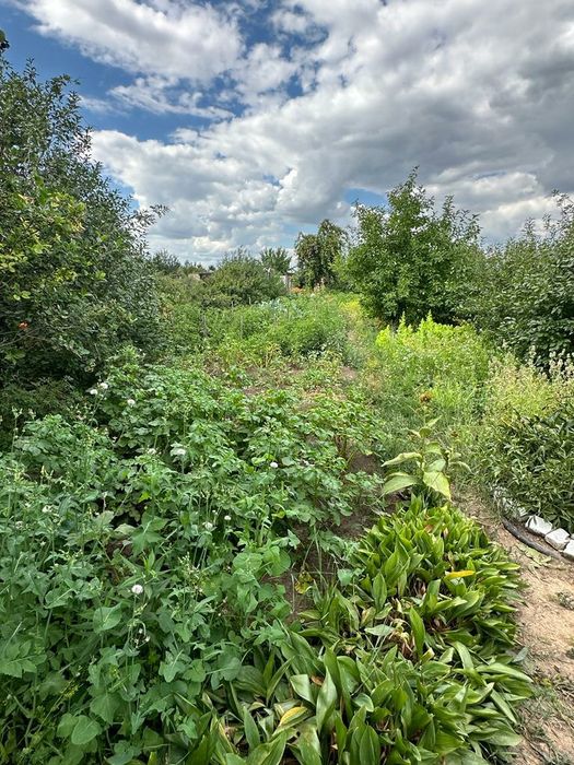 ДАЧА по Красный яр