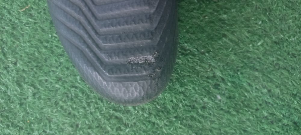 Бутсы Adidas Predator