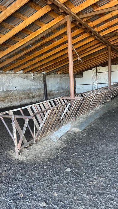 Продам крестьянское хозяйство
