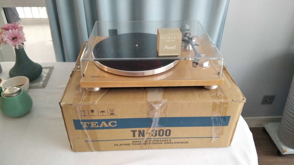 Виниловый проигрыватель TEAC TN-300