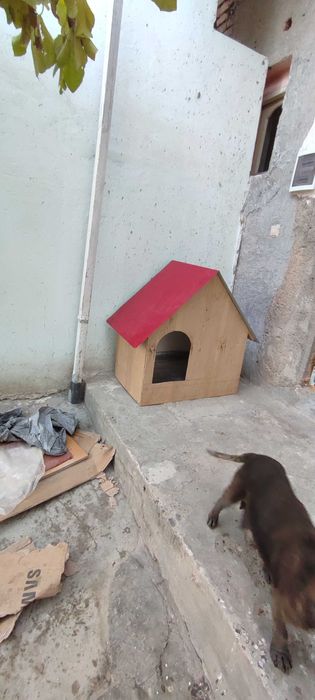 Будка для Собаки