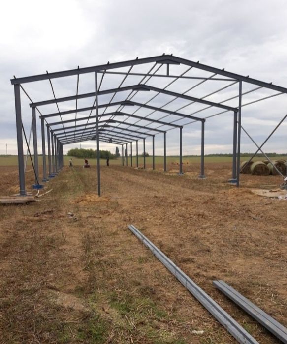 Vand hală metalica 10X32