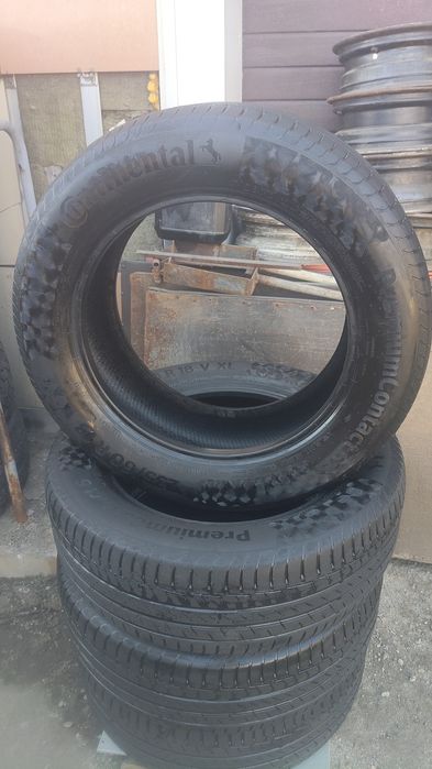 Шины континента ль лето