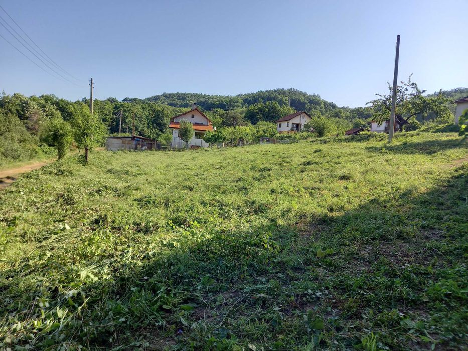 Косене ,почистване и поддържане на дворове ,лозя,ливади ,райгас