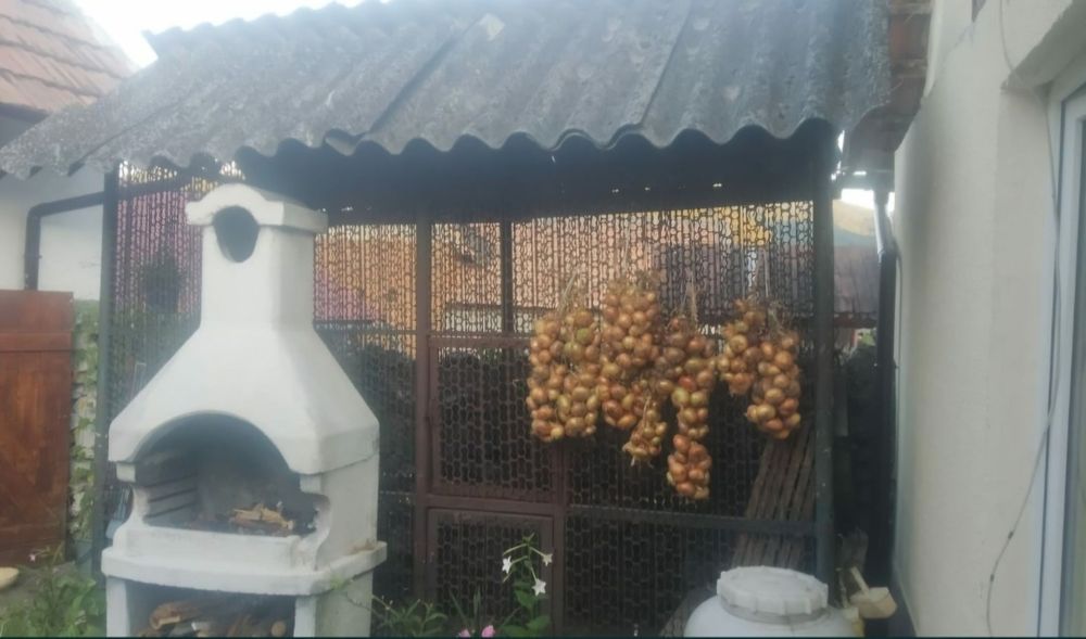 1. Vand cosar, metalic, pentru porumb.