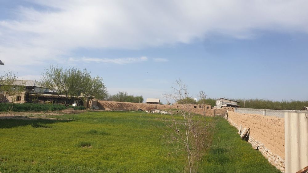 Прогресда 10 соток ер сотилали